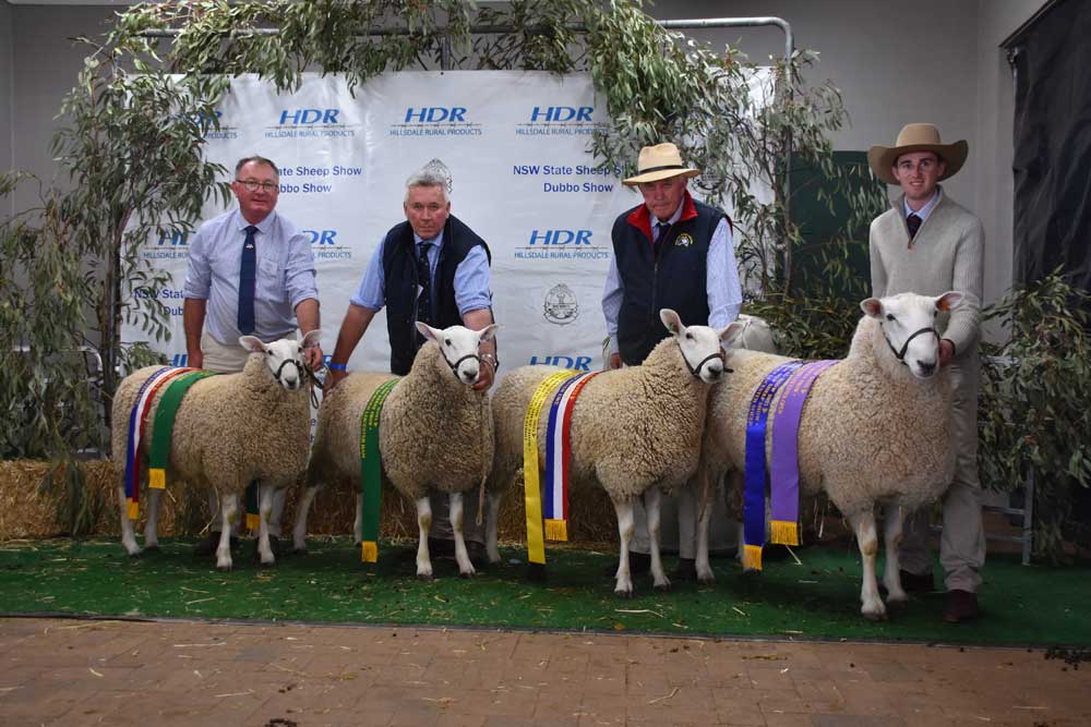 Most Successful Exhibitor at the NSW State Sheep Show 2019